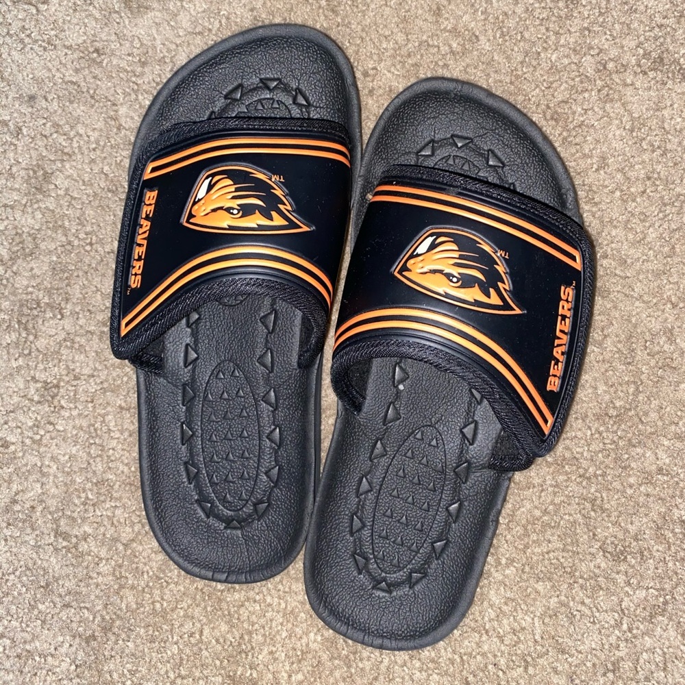 Oregon State Beavers slides